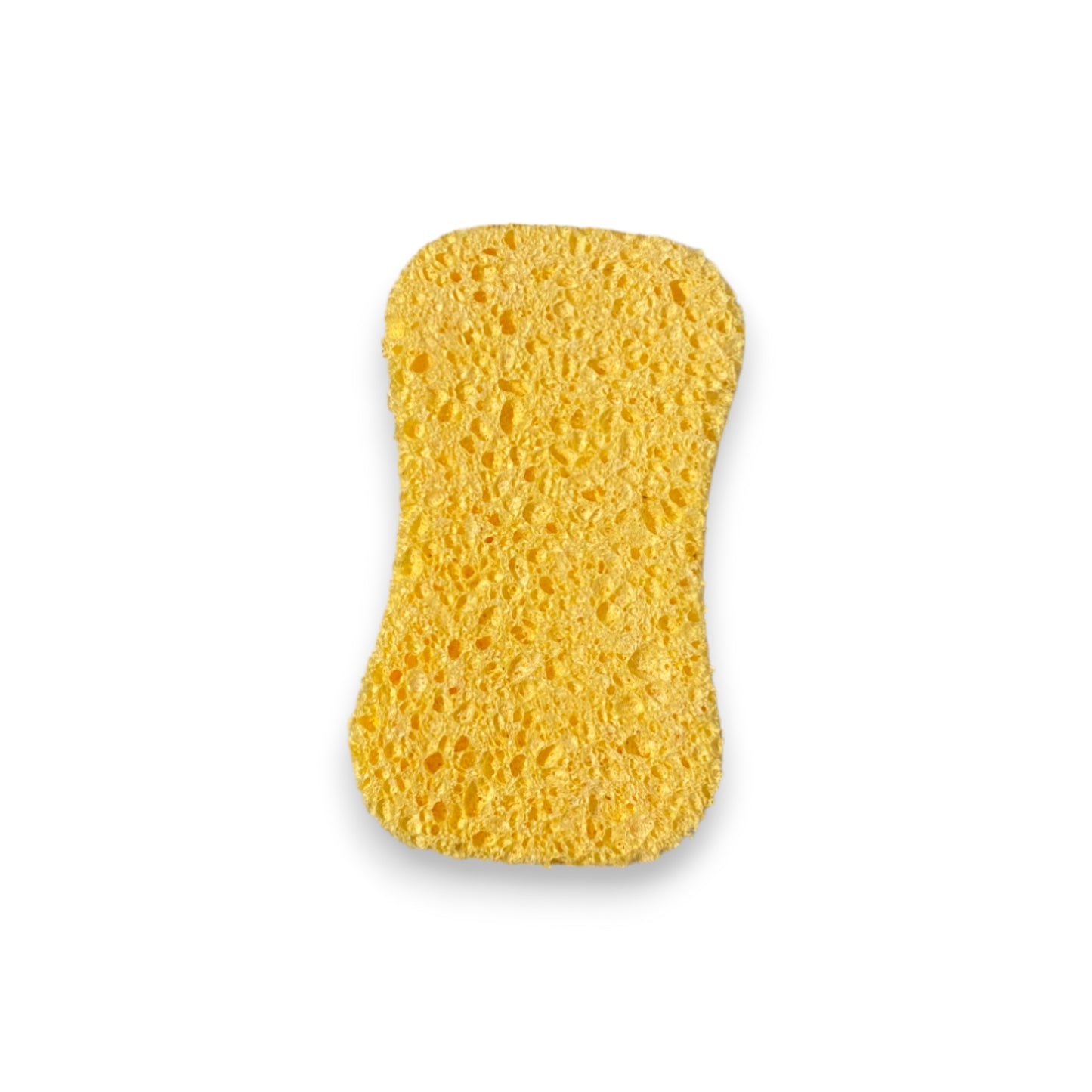 Éponge végétale
