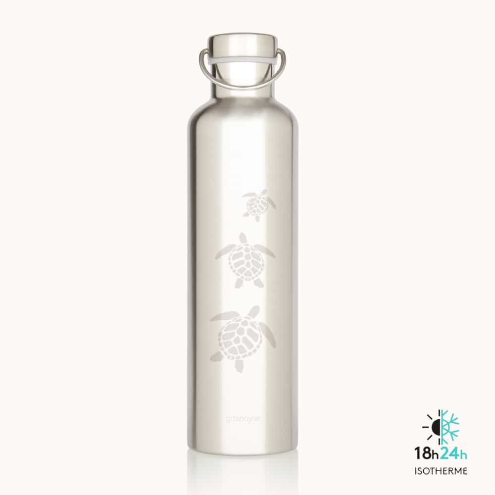 Gaspajoe Gourde en Inox Groovy 1L Tortues