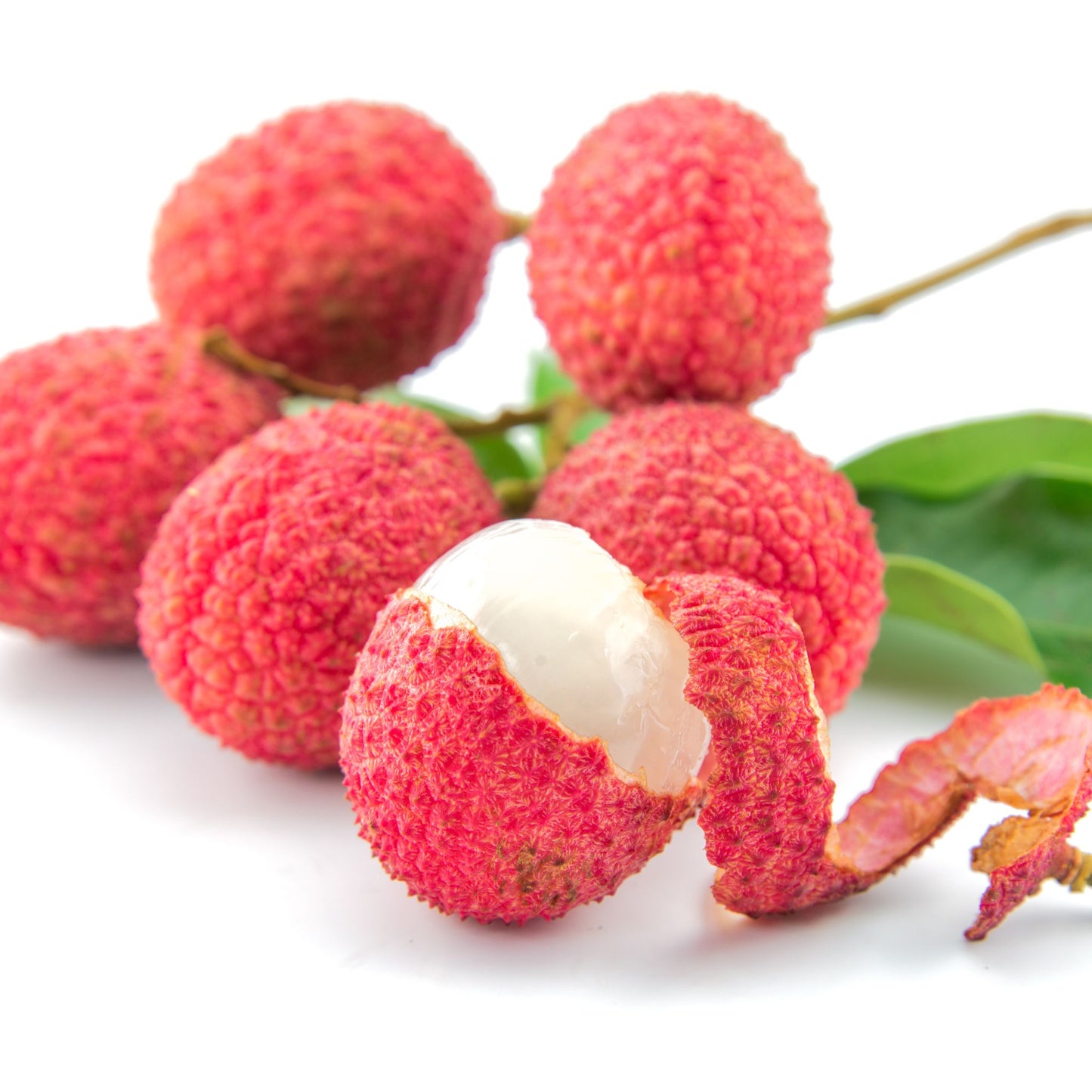 Litchi