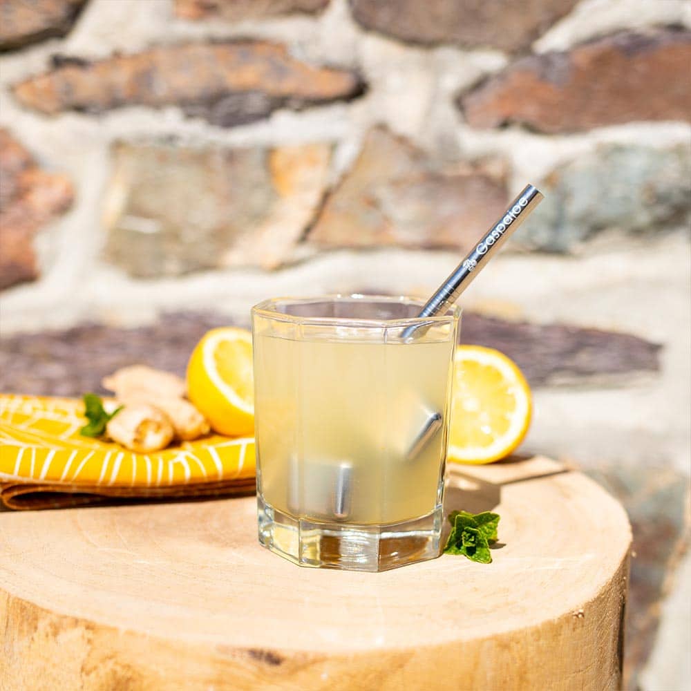 Paille Inox Cocktail Gaspajoe