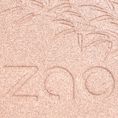 Shine-up Powder Champagne rose