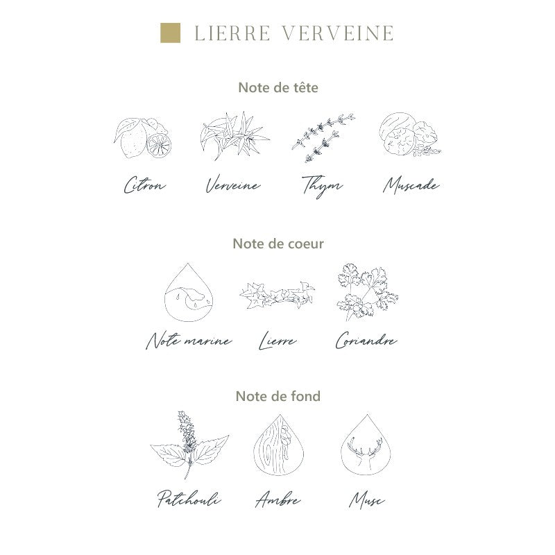 Diffuseur d’ambiance Parfums de Grasse - Lierre-Verveine