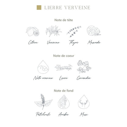 Diffuseur d’ambiance Parfums de Grasse - Lierre-Verveine