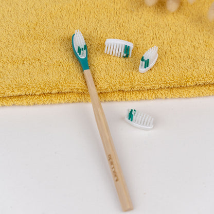 Brosse à dents La Maline Vert clair Apimani