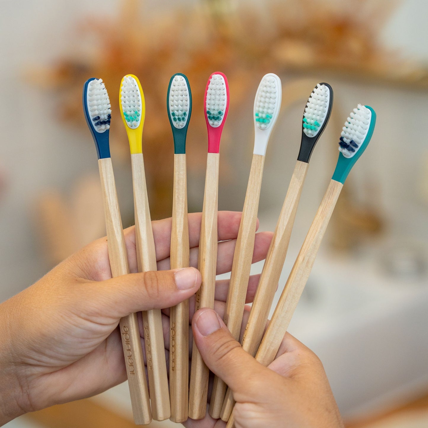 Brosses à dents La Maline Apimani