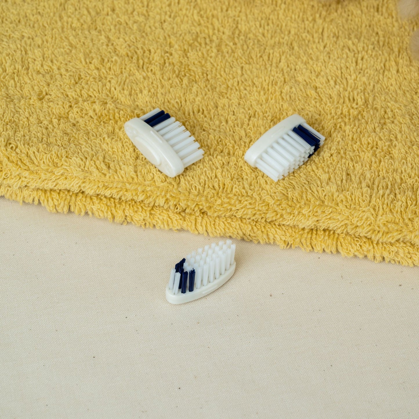 Tête de Brosse à dents Medium Apimani