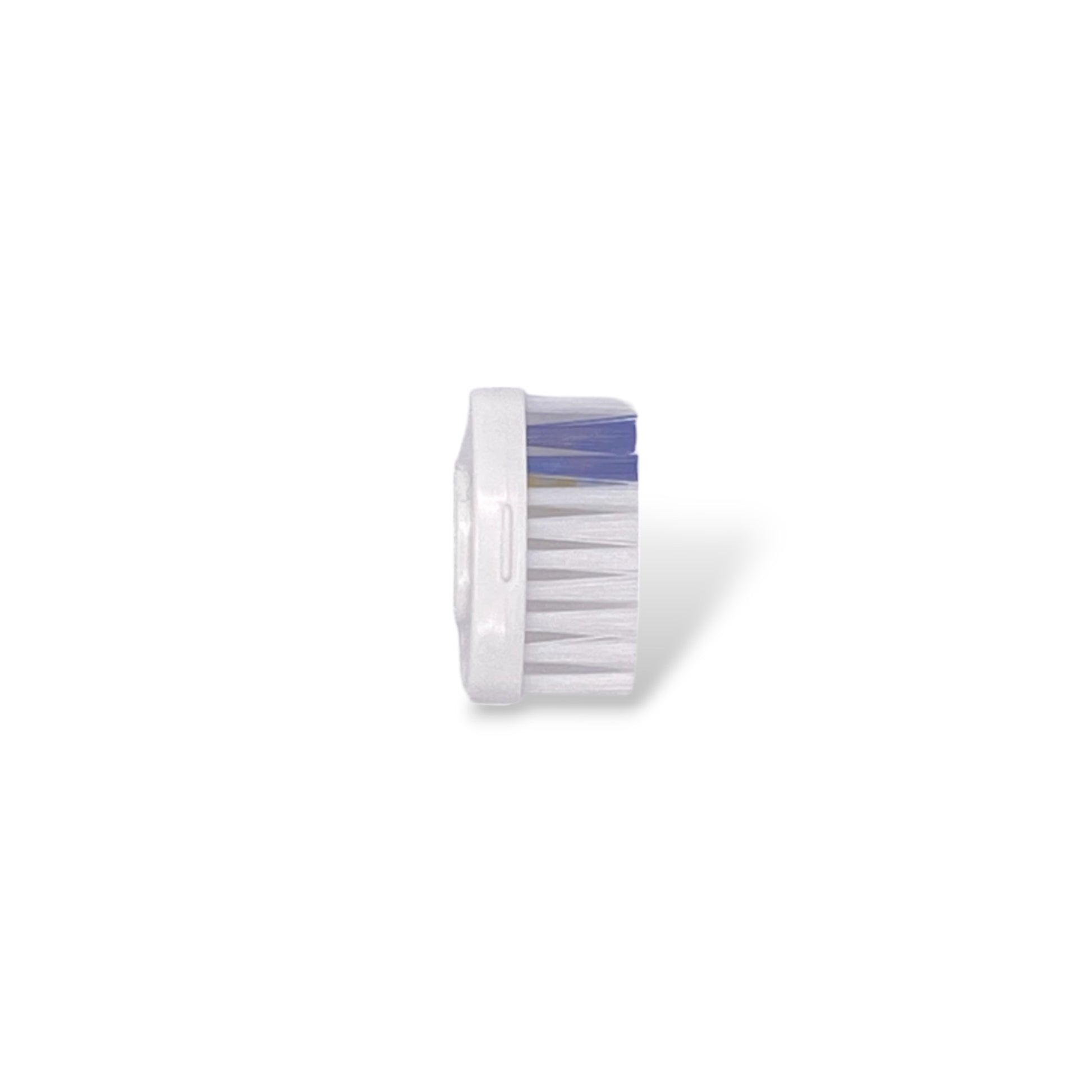 Tête de Brosse à dents Medium Apimani