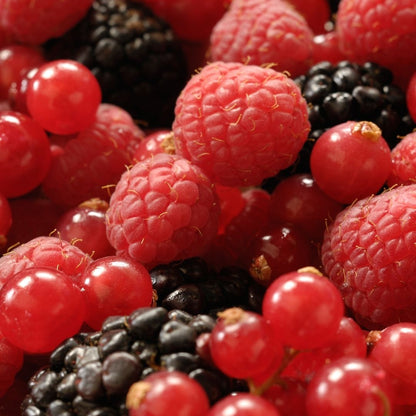 Dentifrice aux fruits rouges