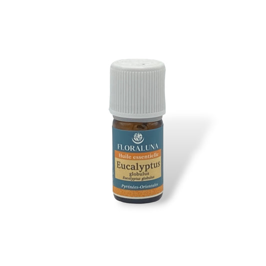 Huile essentielle d'Eucalyptus globulus