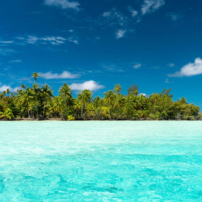 Lagon